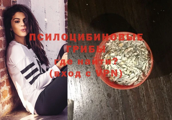 винт Армянск