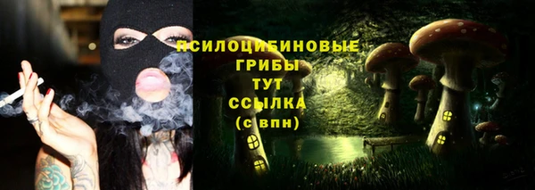 прущий лед Арсеньев
