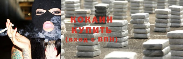 стафф Аркадак