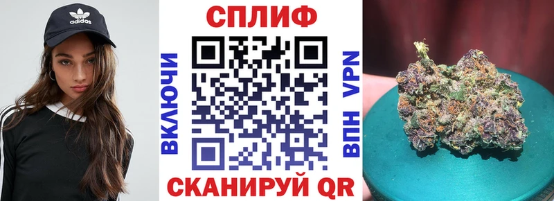 Бошки Шишки THC 21%  что такое наркотик  Нововоронеж 